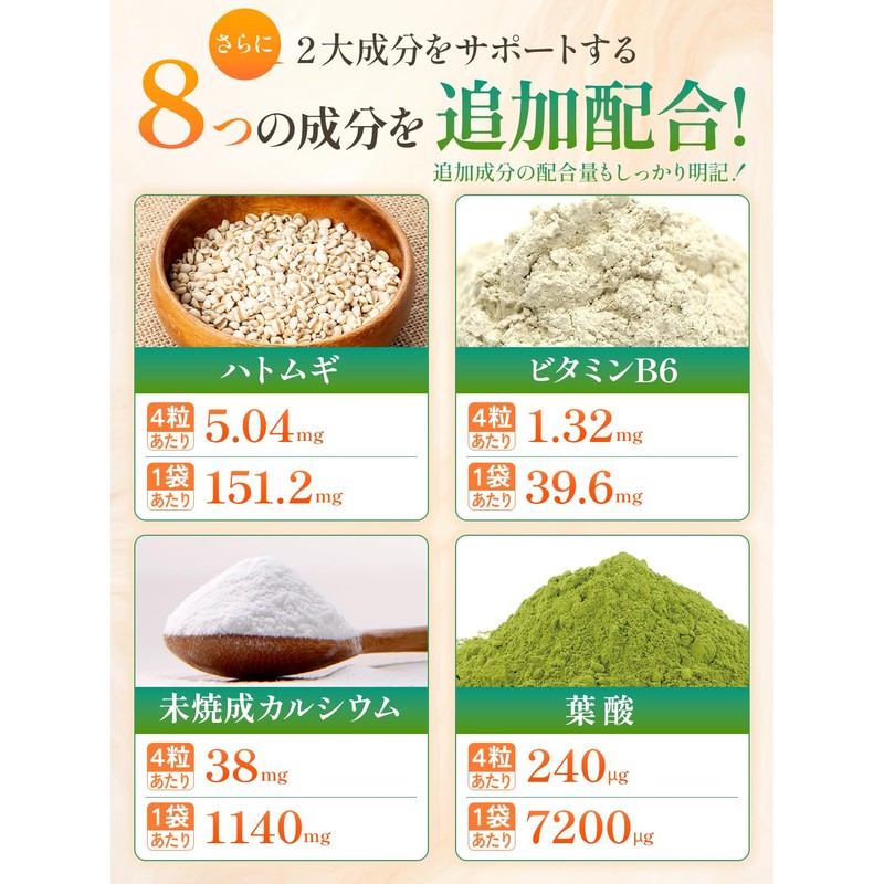 ナンバーサプリ11 活性炭 ウラジロガシ サプリ 炭 吸着 排泄 チャコール チャコールクレンズ サプリメント（４粒あたり/ウラジロガシ250mg