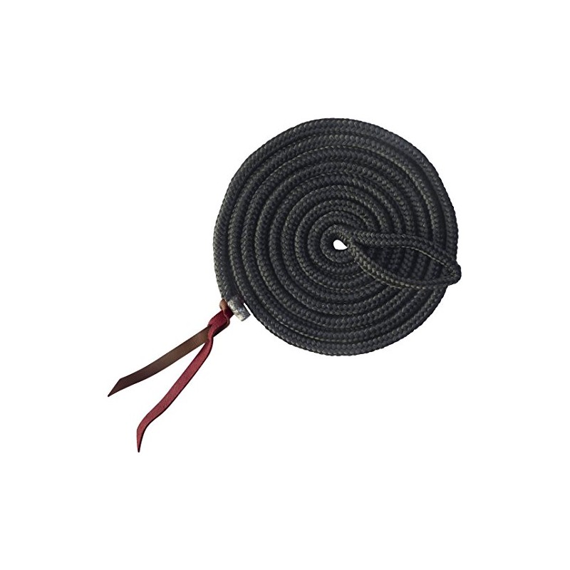 Ethologische Longe, schwarz