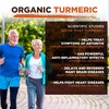 Turmeric Powder | Organic | 500g | Natural Source of
