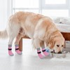 SCENEREAL Anti Slip Dog Sock to Prevent Licking Paws for
