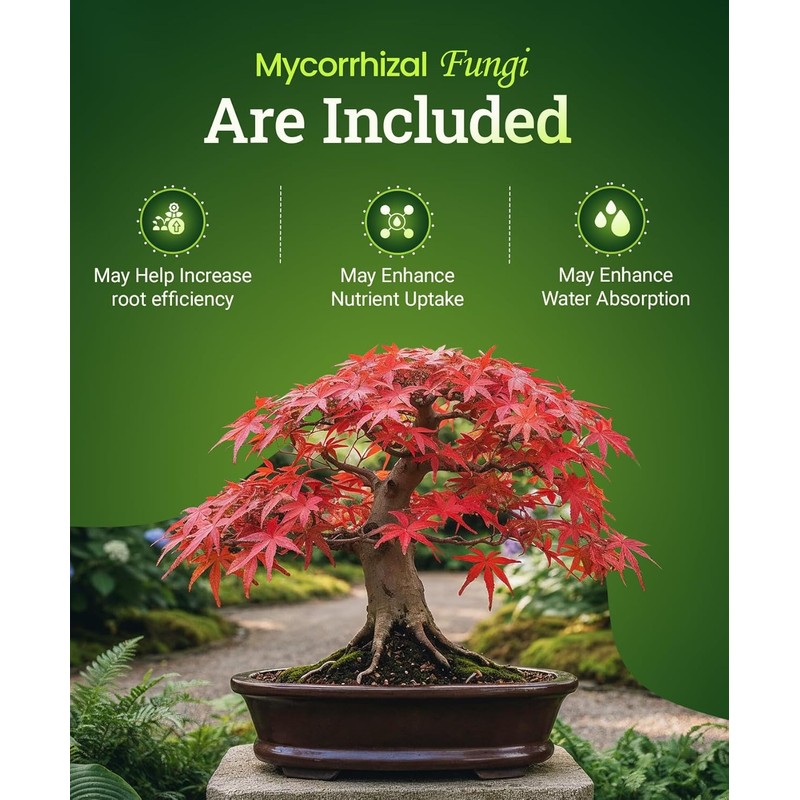 FoxFarm Happy Frog Japanese Maple Fertilizer - Supports Vegetative Growth