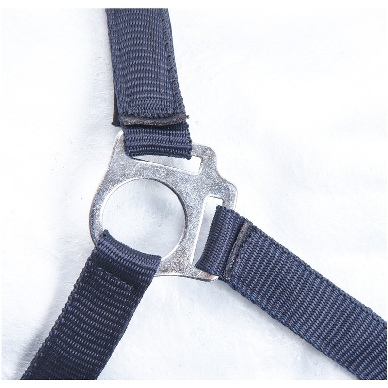 HKM by Reiterladen24 Basic Line Headcollar Lined Dark Blue Pony