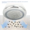 Facial Magnetic Lead Machine Photon Lifting Moisturizing Skin Care Therapy