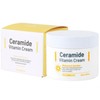 Moisturizing Skin Barrier Strengthening Vitality Vitamin Cream 100ml