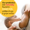 BioGaia Protectis Baby Probiotic Drops | Baby Essentials for Colic