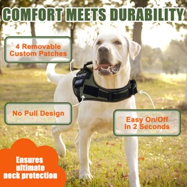 No Pull Dog Harness for Large Medium Sized Dogs, Service Dog Harness and Leash Set with 4 Patches, Adjustable Easy Walk Dogs Harnesses with Handle, Dogs Vest Harnesses for Training (Green, XL)