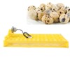 Egg Incubator Egg Tray Small 24 Eggs Four Leaf Flower