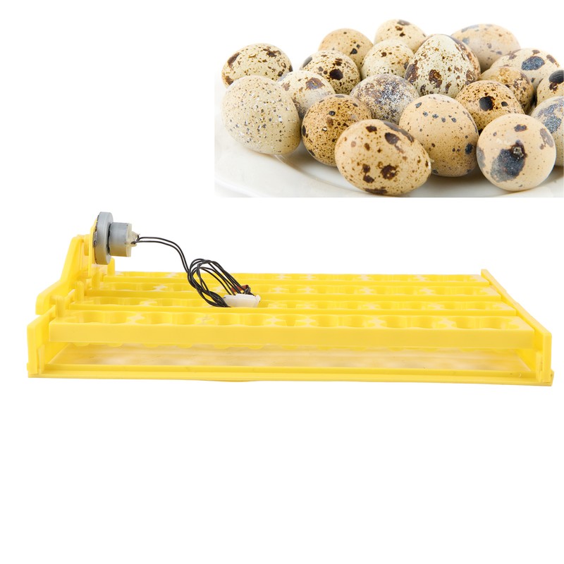 Egg Incubator Egg Tray Small 24 Eggs Four Leaf Flower