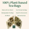 VAHDAM, Original Himalayan Green Tea (100 Count) High Grown, Non