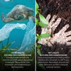 Joeji's Disposable Gloves, S, Disposable Gloves, Food Gloves, Ecological Disposable