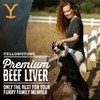 Yellowstone Limited Ingredient Dog Treats Beef Liver - Healthy Dog
