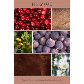 Eco Candle Co. Recycled Candle, Fig & Oak, 6 oz. - Scents of Figs, Cranberries, Leather, & Musk - 100% Soy Wax, No Lead, Kraft Paper Label & Lid, Hand Poured, Made from Midwest Grown Soybeans