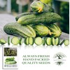 Spacemaster Cucumber Seeds, 100+ Heirloom Seeds Per Packet, (Isla's Garden