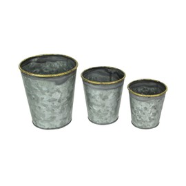 Set of 3 Rustic Galvanized Grey Zinc Finish Metal Buckets, Featuring Hand-Painted Metallic Gold Rims for Stylish and Versatile Indoor or Outdoor Home Decor