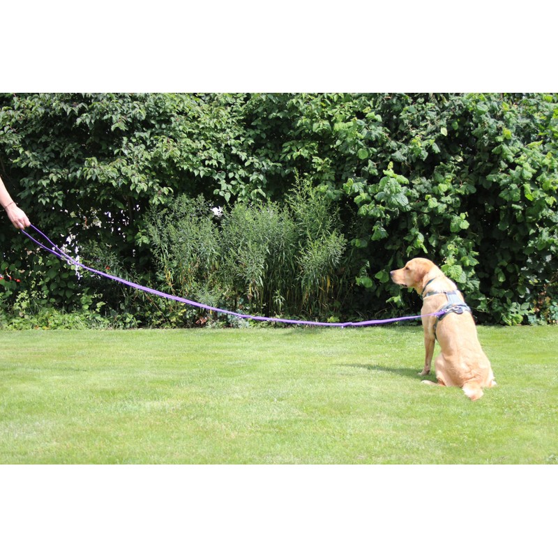 Activity4Dogs Non-Slip Nylon Dog Lead, Non-Slip, 2.80 m Long, 4-Way