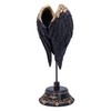 Nemesis Now Dark Angel Gothic Fallen Fae Wing Figurine, Black,