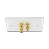 Selby Budget 2 Speaker Cable Wall Plate Wallplate DIY Home