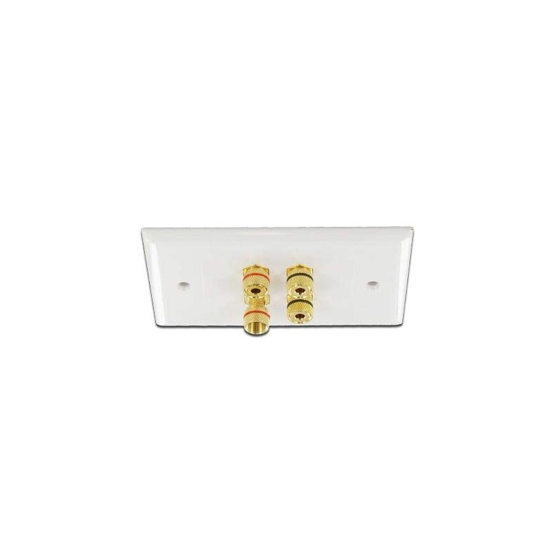 Selby Budget 2 Speaker Cable Wall Plate Wallplate DIY Home