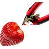 Strawberry Huller,Multifunctional Peeled Pineapple and Strawberry