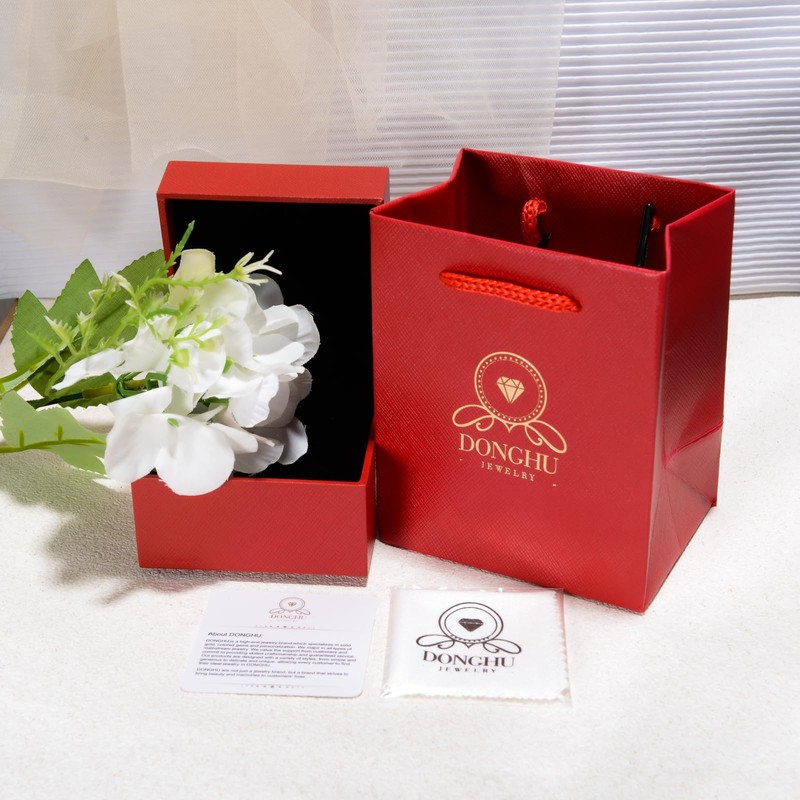 DONGHU Compass Necklace for Women Men 925 Sterling Silver Moissanite