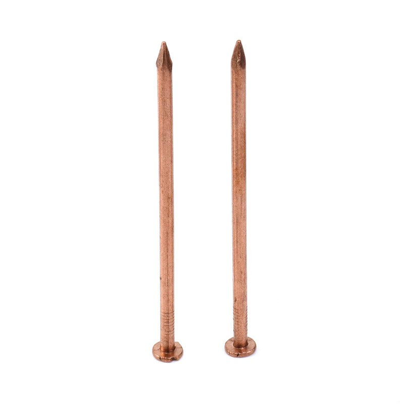MY MIRONEY 10 Pack 4 Inch Copper Nails Solid Copper
