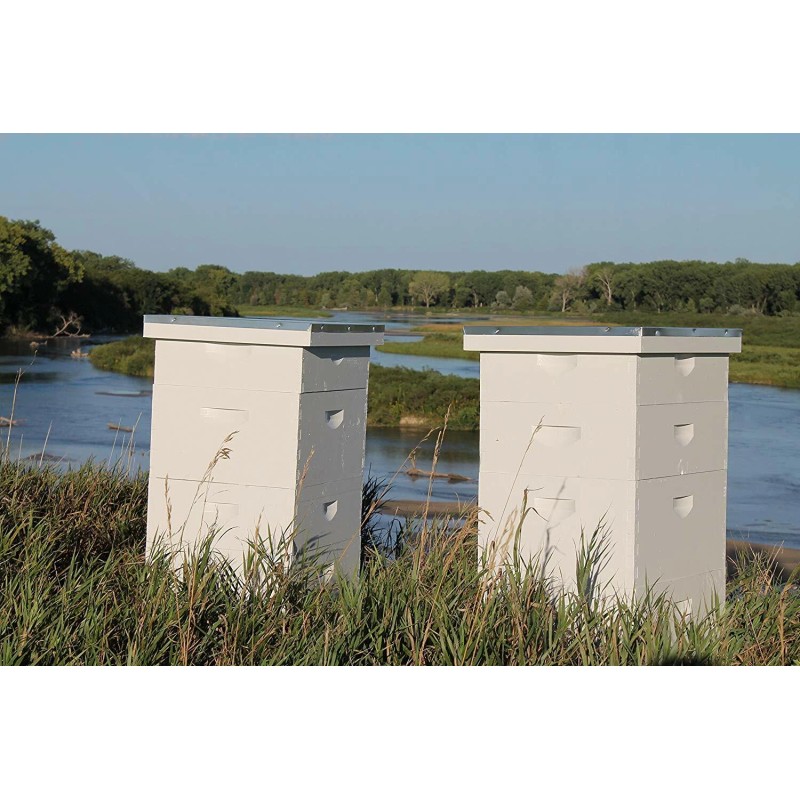 Prairie River Honey Farm Raw Honey Pure Natural Nebraska Honey