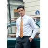 HISDERN Men's Tie Floral Tie and Pocket Square Classic Men's