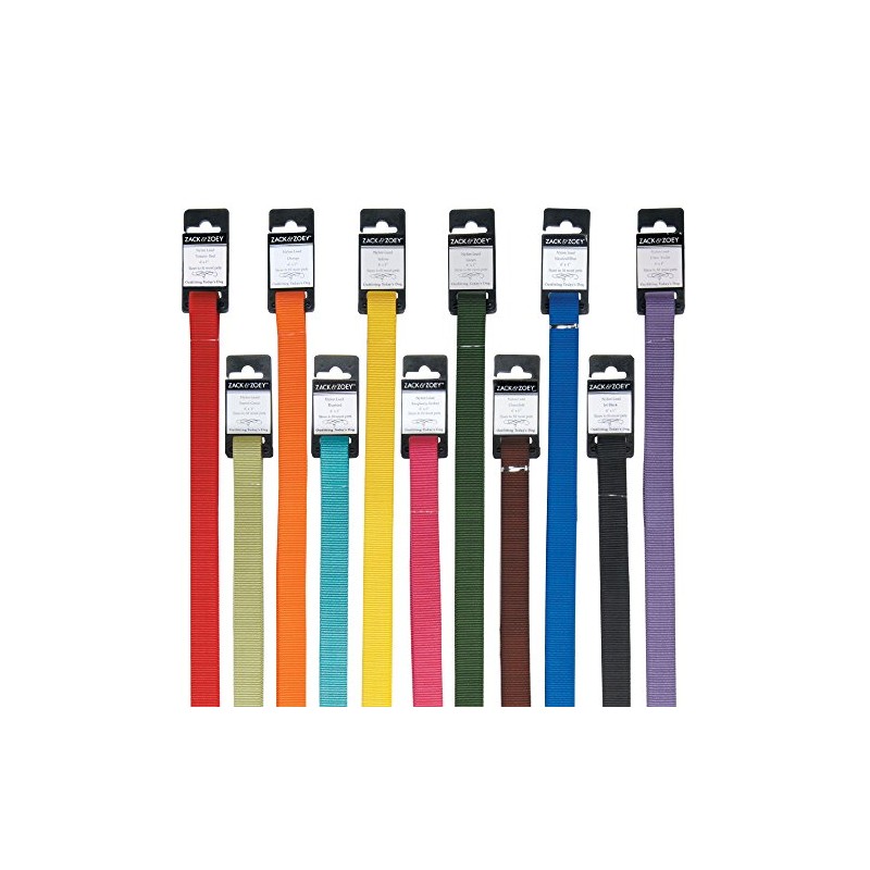 Zack & Zoey Basic Nylon Dog Leash, 4-Feet x 5/8-Inch