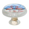 FVQL Transparent Cabinet Knobs Set of 4, Round, Clear, Drawer