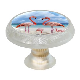 FVQL Transparent Cabinet Knobs Set of 4, Round, Clear, Drawer Pulls with Screws, Tropical Beach Animal Bird Flamingo