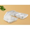 FOOGO Green 50pcs Eco-Friendly Clamshell Takeaway Boxes, 9x9 inch 46oz
