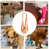 UYBNBVD Arnés de Elevación para Perro Ligero y Transpirable,Arnés Acolchado