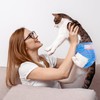 MICOOYO Disposable Cat Diapers, Cat Diapers for Female Cats with