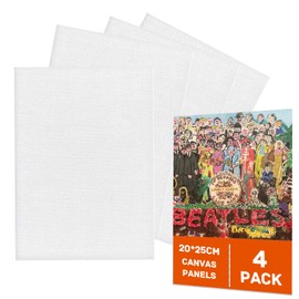 Canvas Panels for Oil Paintin 4pack Painting Canvases Large 100% Cotton Primed White Painting Canvas Blank Canvas Board Canvas Panel for All Oil or Acrylic Painting 20X25CM