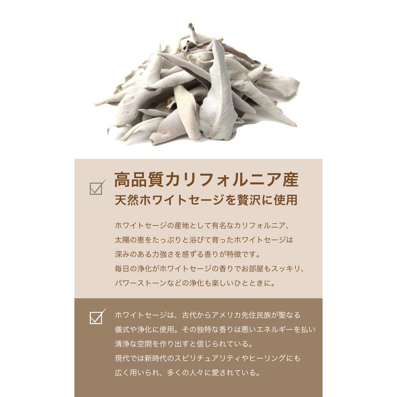 White Sage Purifying Cone Incense, 10 Pack Herb Kobo HCC