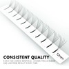 Long Stem Premade Fans 4D 0.10mm D Curl 12mm, Premade
