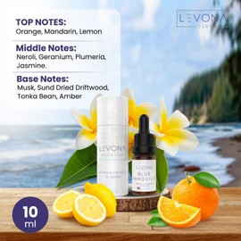 Levona Scent Essential Oils - Scents for Home, Hotel & Office Use - Perfect for Home Diffuser & Humidifiers - Aroma Fragrance Oil, Ideal for Massage, Relaxation, and Spa - Blue Tranquility, 120ml