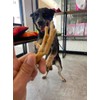 Snack 100% Natural para Perros, 15 Piezas, Crujientes, Deliciosas y