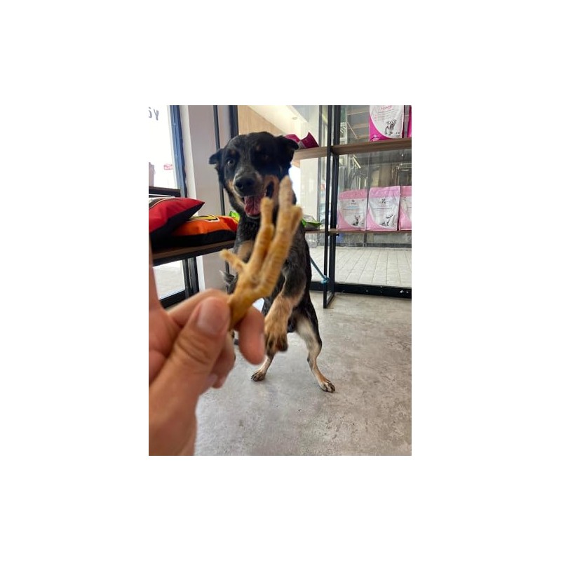 Snack 100% Natural para Perros, 15 Piezas, Crujientes, Deliciosas y