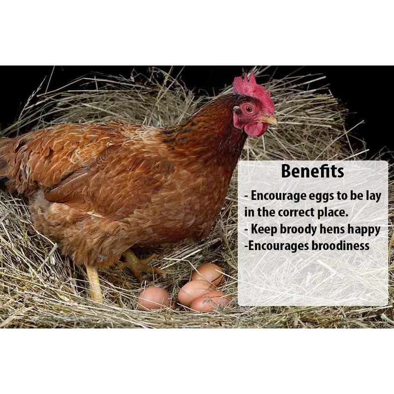 Imitation Chicken Poultry Hen Eggs [12 Pack] - Weighted Rubber