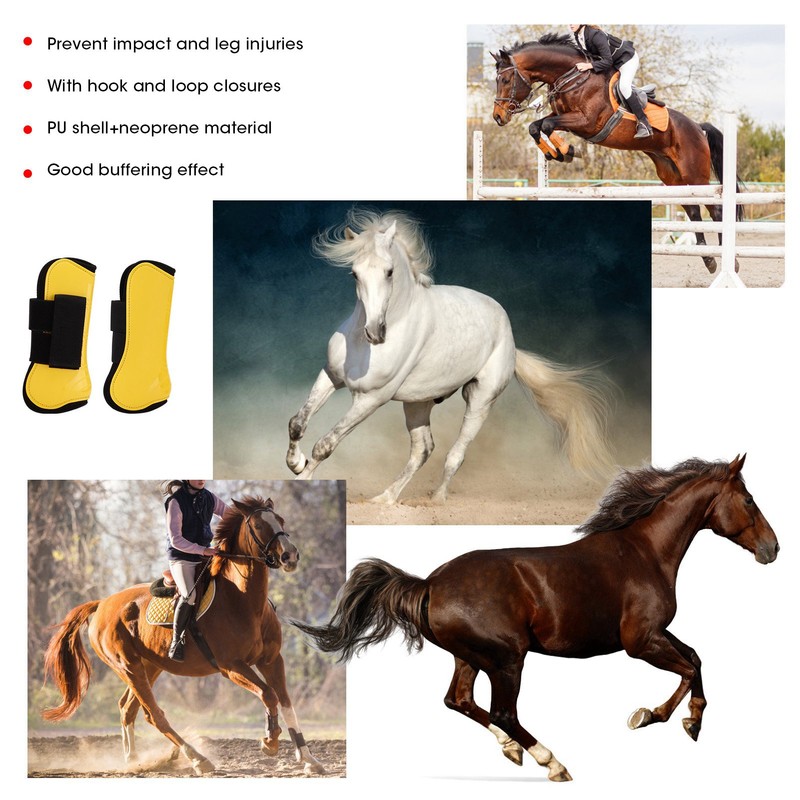 Horse Tendon Boots 4 PCS Protective Comfortable and Adjustable Boots