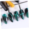 Ipetboom Professional Nail Art Tools 8pcs Cat Eye Magnetic Strip
