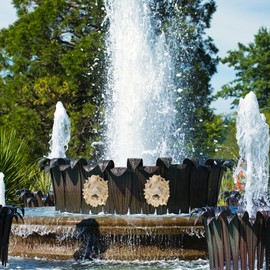 LIOOBO Fountain Sprayer for Decor Garden Fountain Lion Head Nozzle Outdoor Sprinkler Outdoor Pool Decor Gold Lion Head