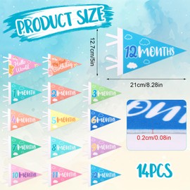 14pcs Baby Felt Pennant Milestone Signs, Multicolour Monthly Baby Milestone Banner Baby Age Milestone Triangle Flags for Boy & Girl Newborn Party Favors Decor Photo Props