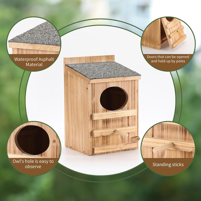 Screech Owl House With Bird Stand - Large Cedar Premium