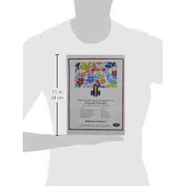 Robison-Anton Rayon Thread Paper Color Chart
