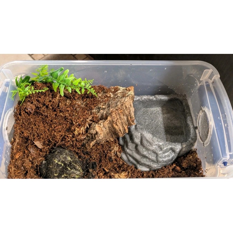 Reptile Tub Enclosure