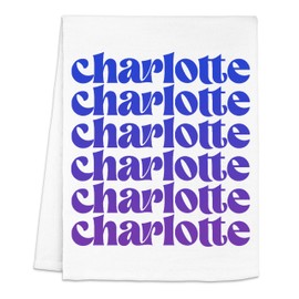 Charlotte Blue Ombre Dish Towel, Funny Kitchen Towels, Cotton Dish Towels for Kitchen Drying, New Home & Apartment Essentials, White Dish Towel