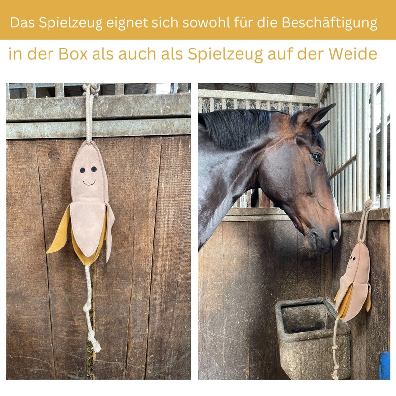 Horse Toy for Horses as Activity Box, Paddock, Willow Toy