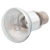 ReptiPlanet Bulb Solar UVA & UVB 80 W